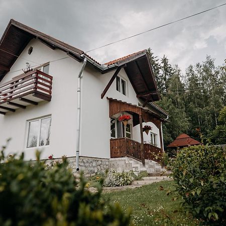 Kaffai Panzio Bed & Breakfast Izvoru Muresului Exterior photo